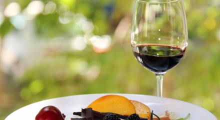 The Basics of Wine Tasting 