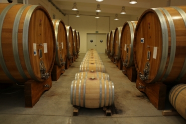 VIILE METAMORFOSIS WINERY