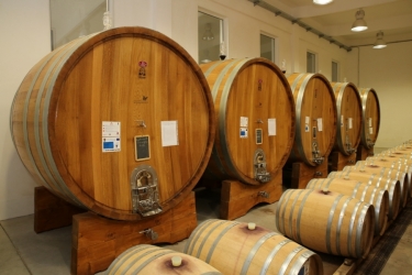 VIILE METAMORFOSIS WINERY