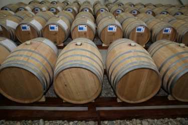 VIILE METAMORFOSIS WINERY