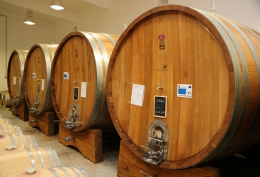 VIILE METAMORFOSIS WINERY