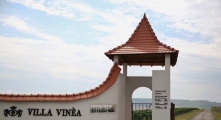 Villa Vinea, a Heartfelt Project