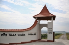 VILLA VINEA WINERY