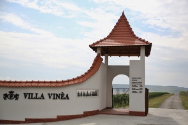 VILLA VINEA WINERY