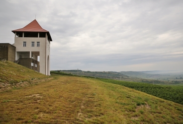 VILLA VINEA WINERY