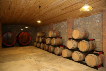 VINURI DE MACIN WINERY