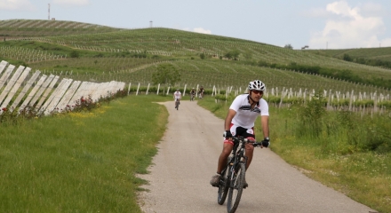 WINERIES BICYCLE TOUR - AVINCIS, BAUER, STIRBEY