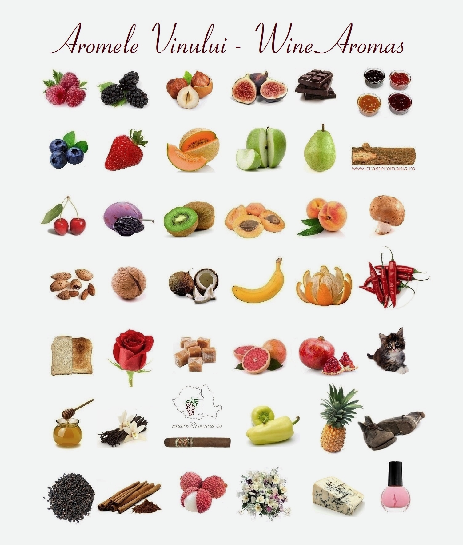 Aromele Vinului Wine Aromas