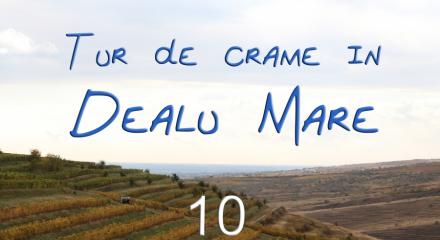 10 OCTOMBRIE - VIZITE SI DEGUSTARI DE VIN IN DEALU MARE