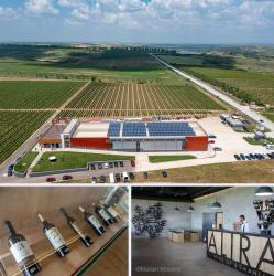 2026 is the new 2016: o zi în care timpul se savurează la Crama Alira