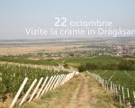 22 octombrie 2016 │Tur de crame în Drăgășani │ Avincis, Bauer, Știrbey