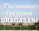 7 octombrie 2017 │ Tur de crame in podgoria Dragasani