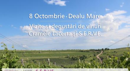 8 octombrie │Tur de crame în Dealu Mare │Lacerta și Serve