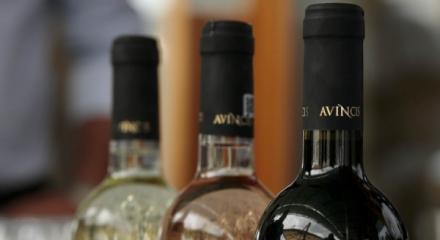 Crama Avincis lansează noua gamă de vinuri Domnul de Rouă