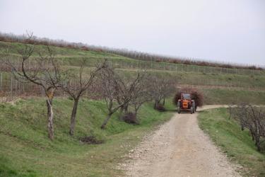 CRAMA LA SALINA