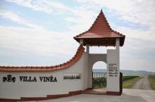 CRAMA VILLA VINEA