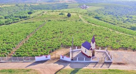 Dealurile Silagiului, tradiție viticolă și modernitate