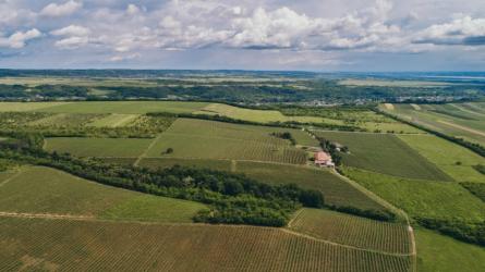 DOMAINE VINARTE - CASTEL BOLOVANU