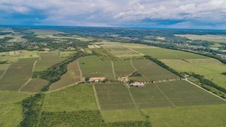 DOMAINE VINARTE - CASTEL BOLOVANU