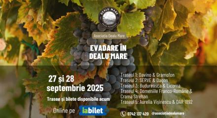 Evadare în Dealu Mare, 27-28 septembrie 2025: Un weekend cu vin, povești și oamenii locului