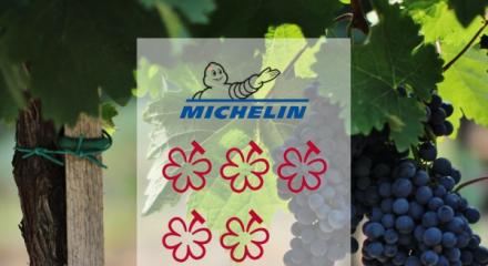 MICHELIN Grapes 2026: Noul ghid al excelenței pentru vinuri începe din Burgundia și Bordeaux