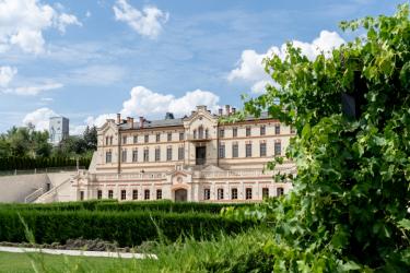 Miron Radic, Crama Liliac și Adrian Trofim, Castel Mimi - Pasiune în Tandem