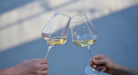 OIV 2025: producția, consumul și comerțul mondial cu vin în scădere