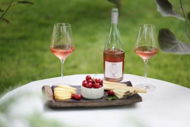 Picnic cu brânză și vin – idei pentru o zi perfectă de vară