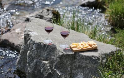 Picnic cu brânză și vin – idei pentru o zi perfectă de vară