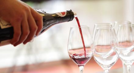 România în contextul vitivinicol global: producția de vin locală scade cu aproape 20% în 2024
