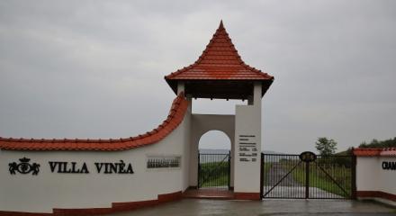 Villa Vinea, un proiect de suflet