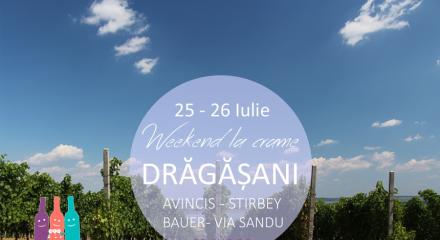 WEEKEND LA CRAME IN DRAGASANI, 25 - 26 IULIE 2015