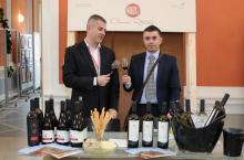 Wine Up, Fair in Transilvania