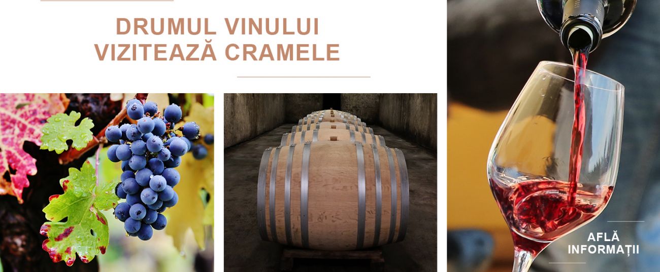 drumul vinului 2020