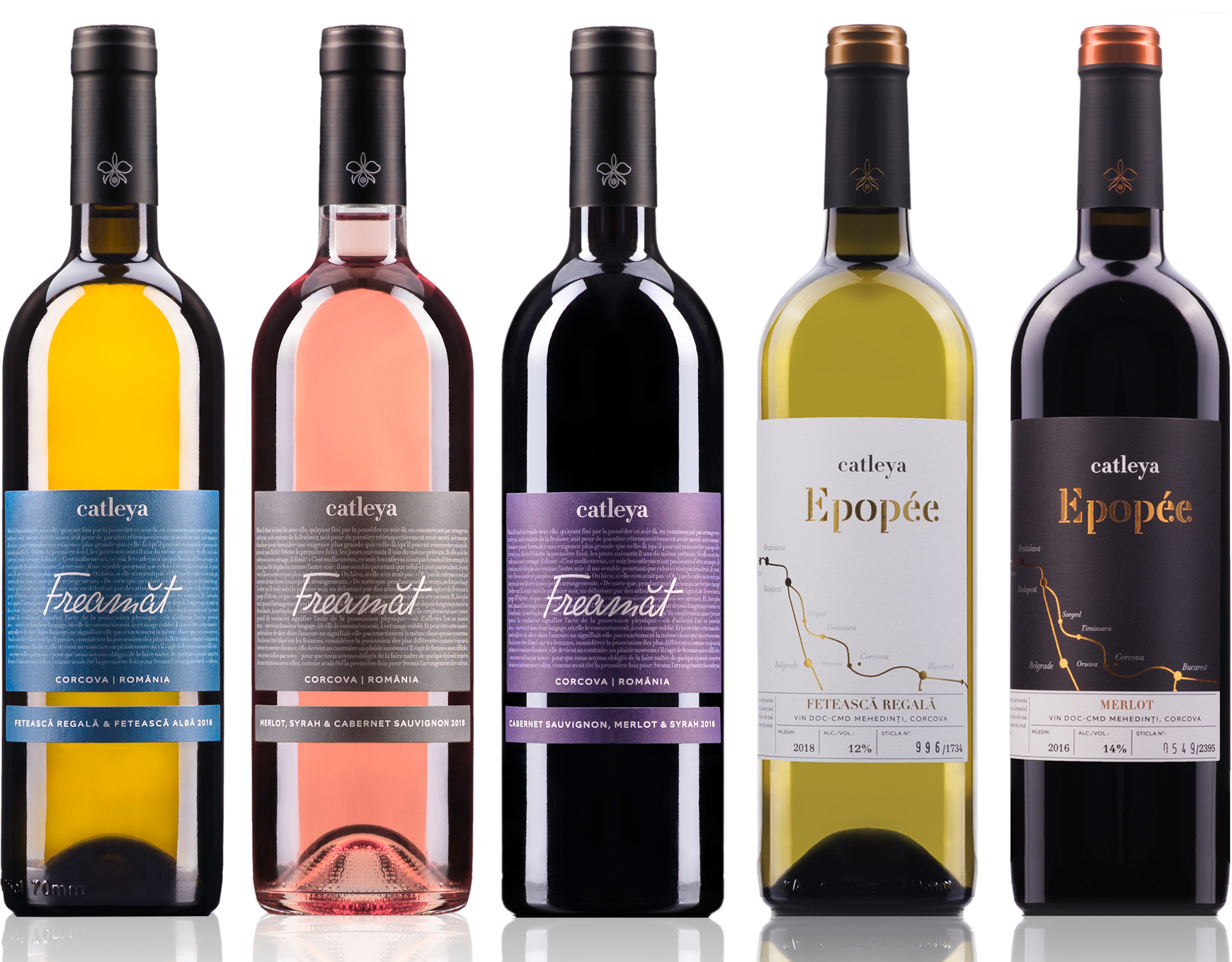 CATLEYA WINES