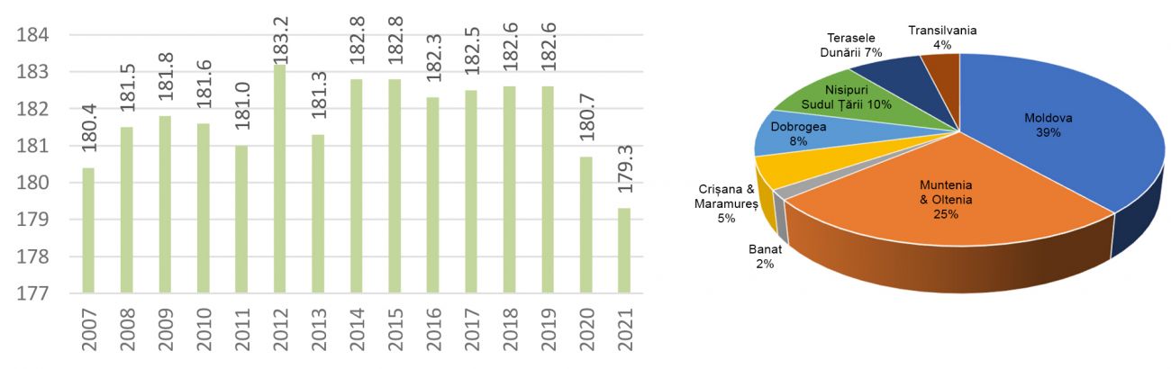 Supratafa cultivata 2021