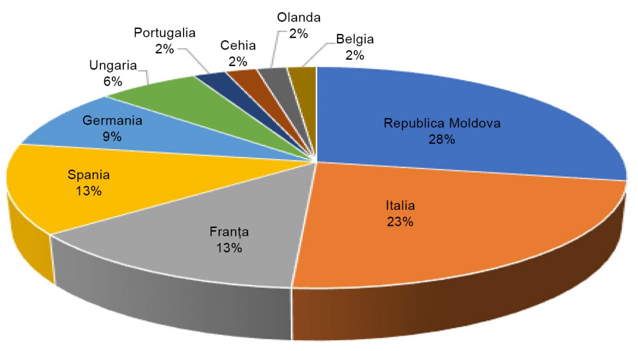 Top 10 tari importuri vin 2021