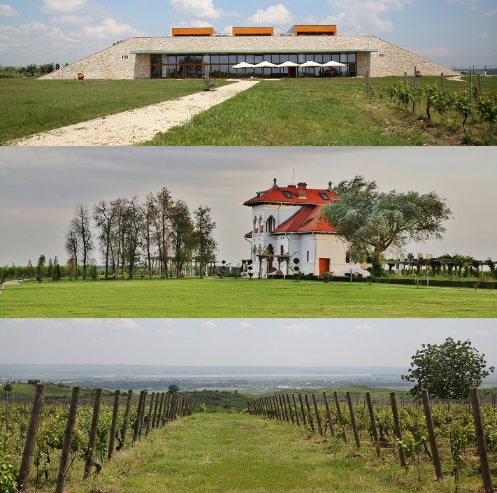 Avincis Winery