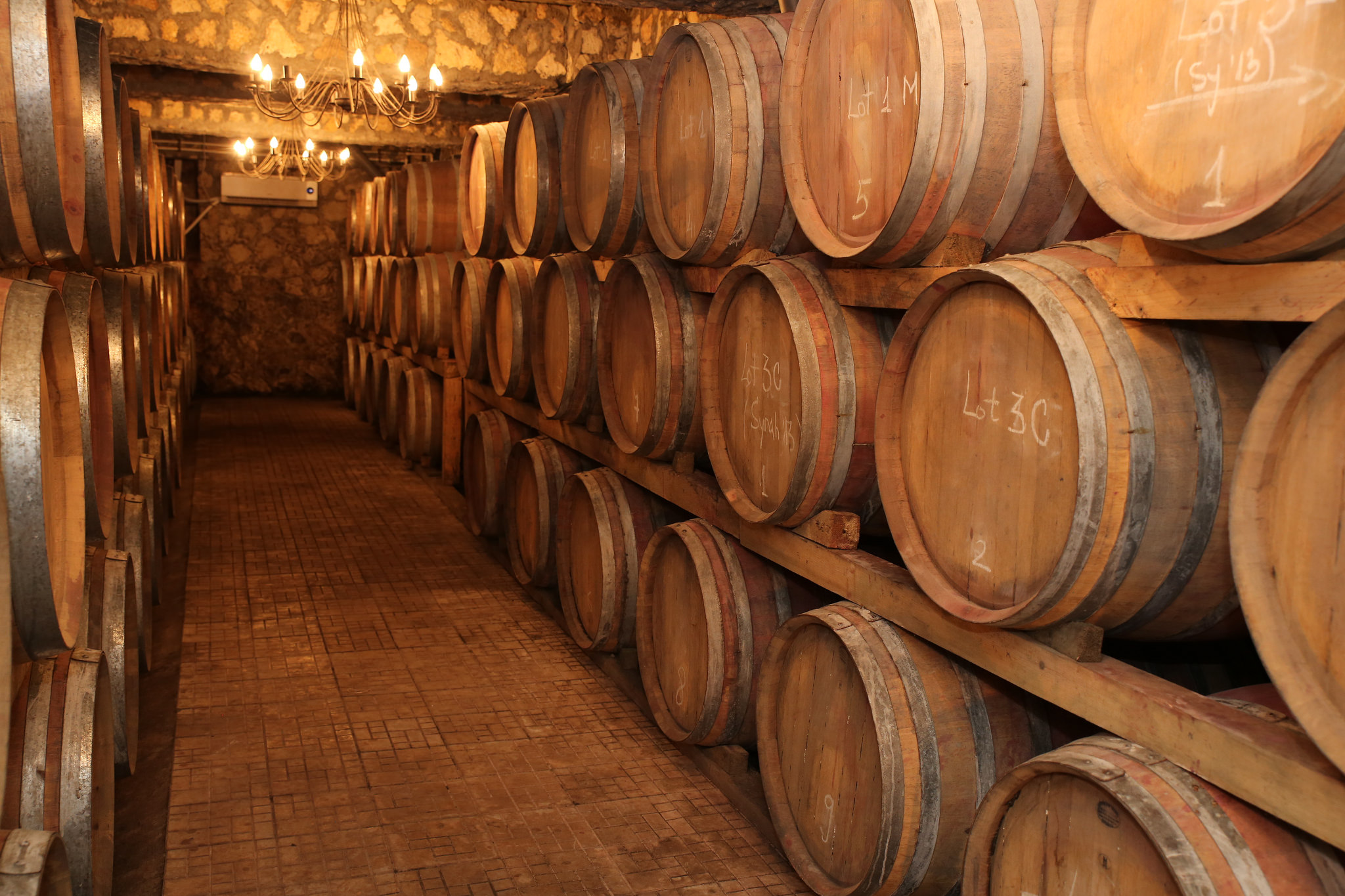 Aurelia Visinescu Cellar