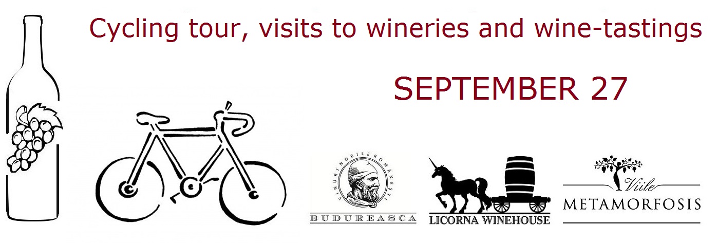 Cycling tour, visits to wineries and wine-tastings