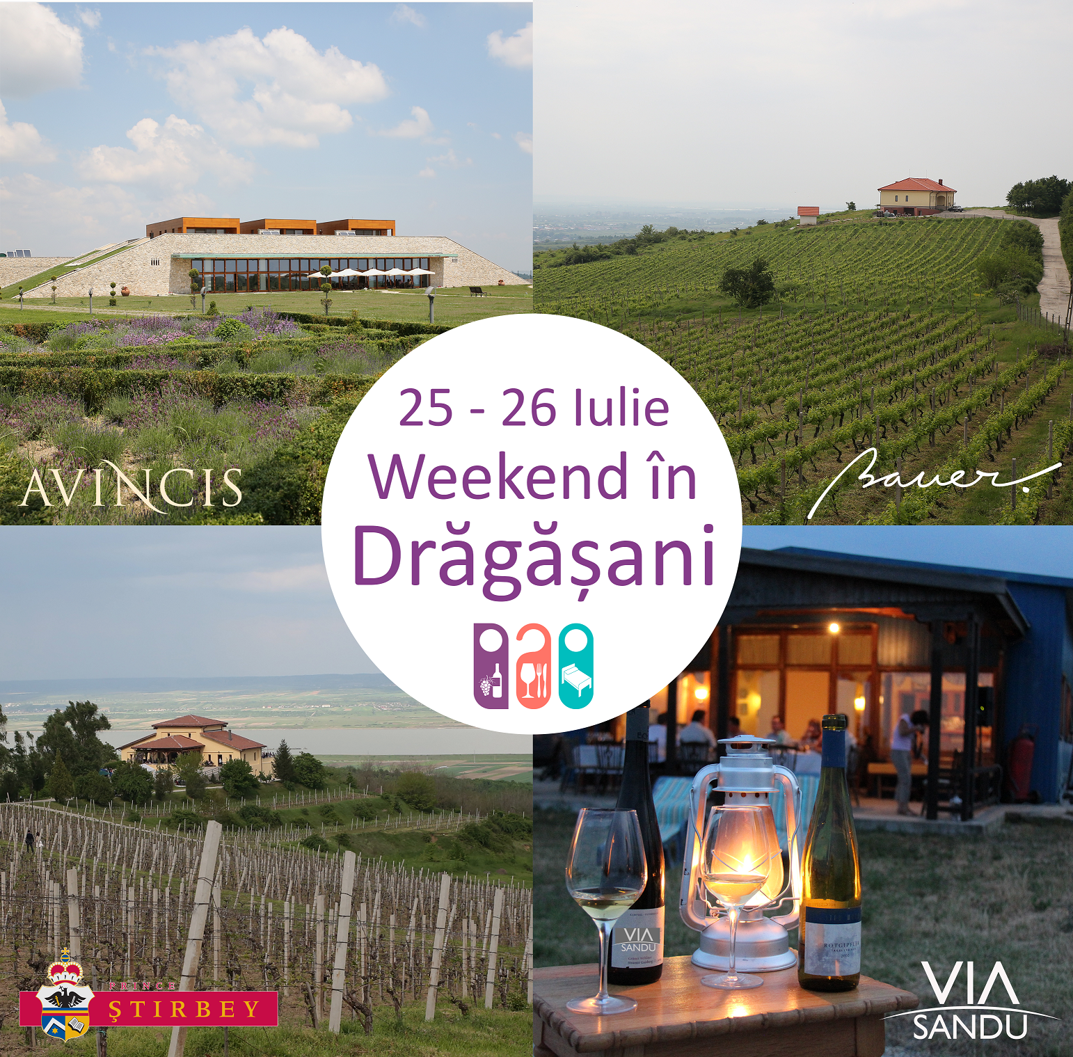 Vizita si degustari de vin la crame in Dragasani