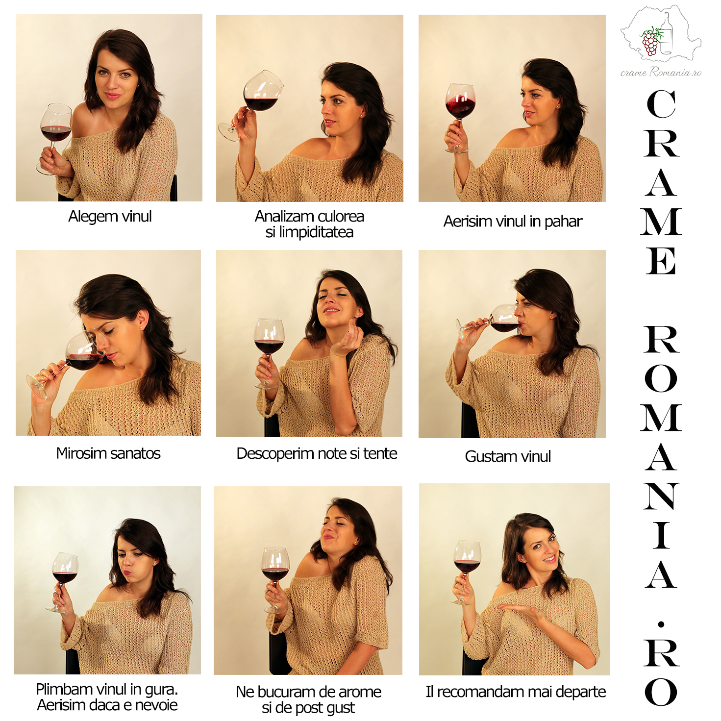 Etape in Degustarea Vinului cu Alexandra Hash