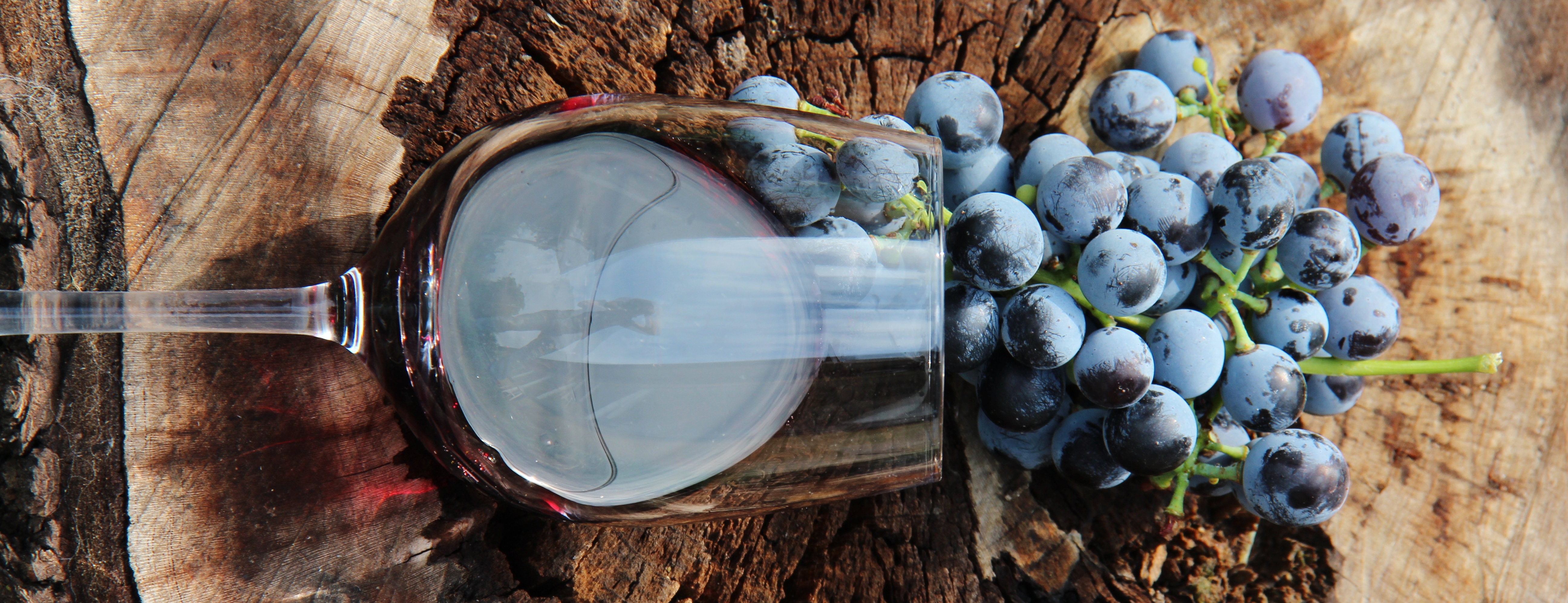 wine tours romania
