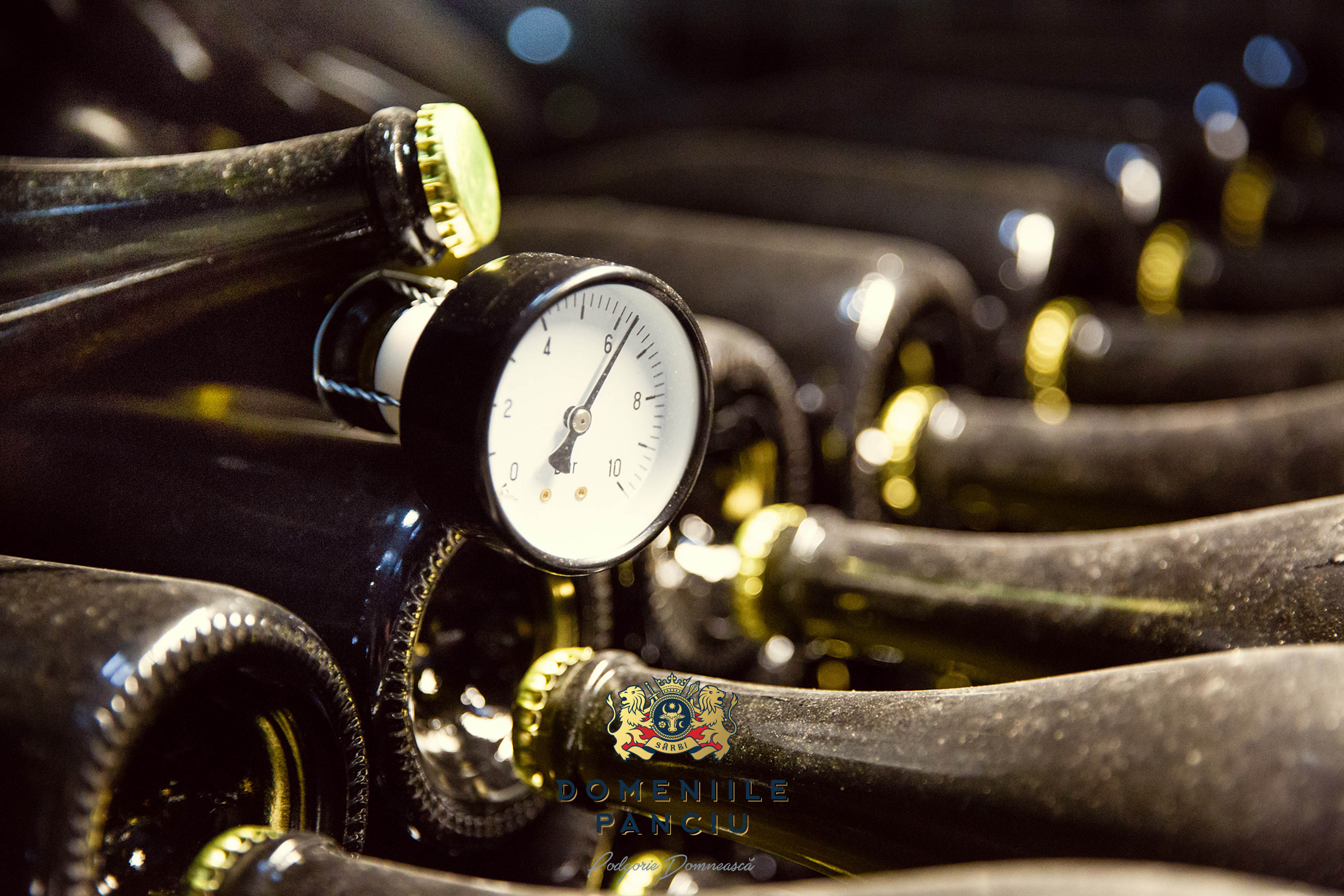 Domeniile Panciu Cuvée Prestige - Chardonnay, Pinot Noir și Fetească Regală Domeniile Panciu Cuvée Prestige - Chardonnay, Pinot Noir și Fetească Regală