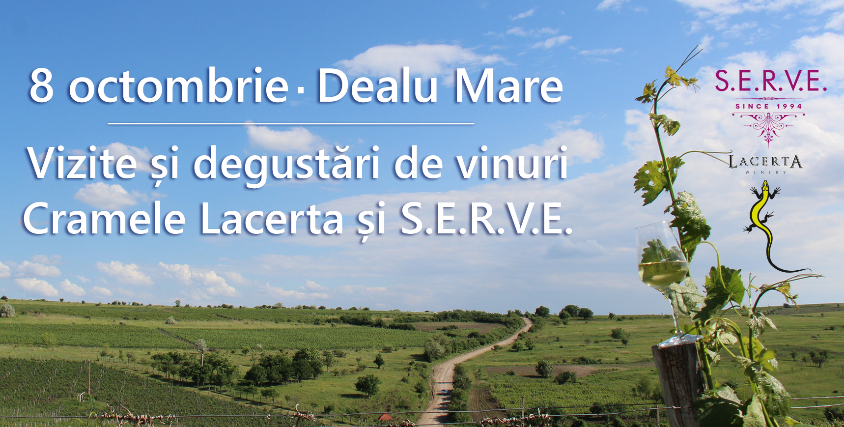 tur de crame dealu mare tur de crame dealu mare