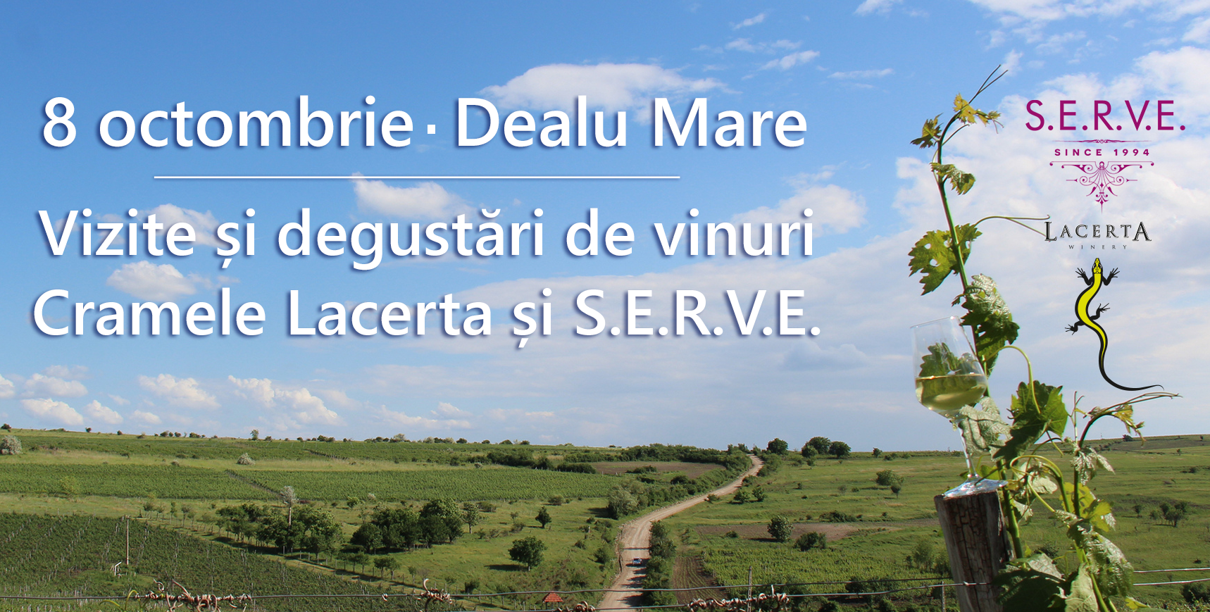 tur de crame dealu mare