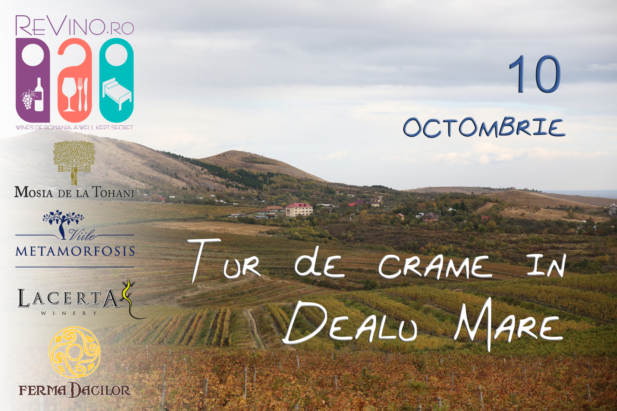 Vizite si degustari de vin la crame in Dealu Mare Vizite si degustari de vin la crame in Dealu Mare