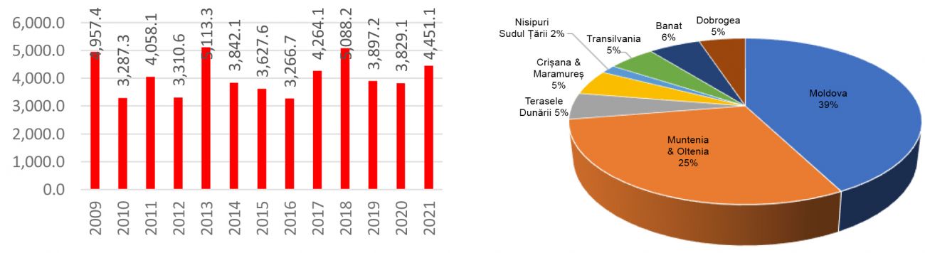 productie vin  2021